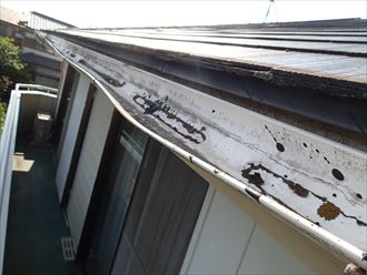 火災保険で雨樋は修理できる ミズノ日記