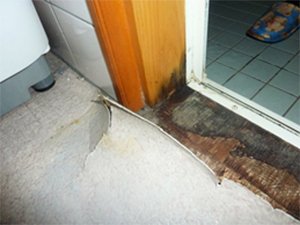 矢吹町 浴室入口リフォームビフォー写真